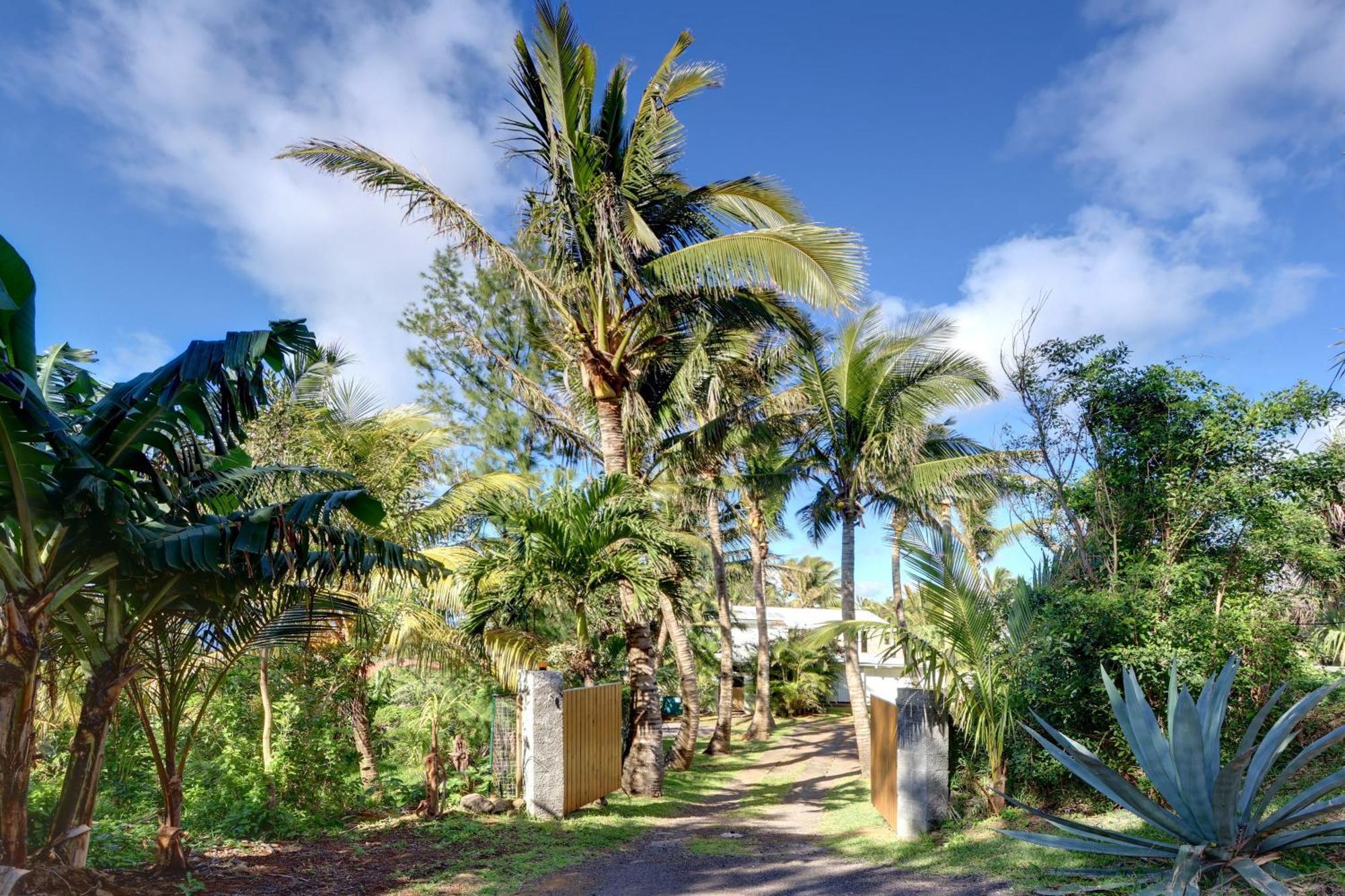 La Case Coco - Maison Climatisee A Saint-Joseph Exteriör bild